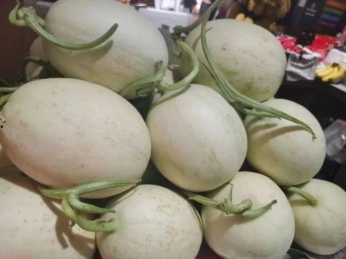 网黄聚集地吃瓜,网黄聚集地的幕后故事