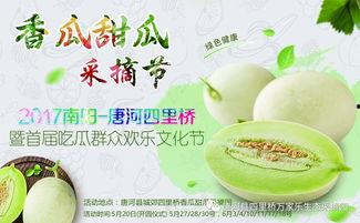 网红吃瓜大集合,揭秘娱乐圈幕后风云