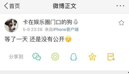 爆料吃瓜网4,娱乐圈最新猛料大曝光！