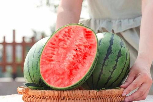 吃瓜网哪里进,揭秘热门话题背后的秘密入口